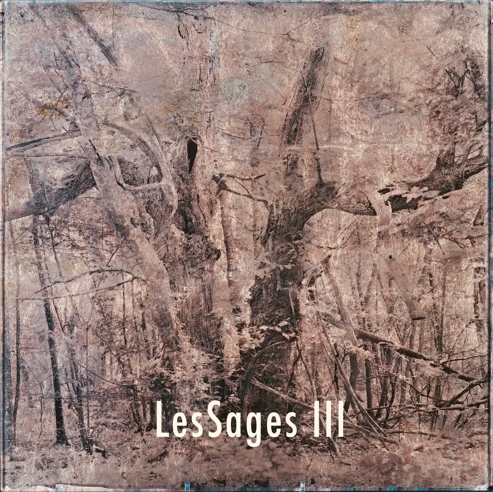Les Sages III — Oxydotype sur verre — Maison Picturale — Denis Félix — 40 × 40 cm